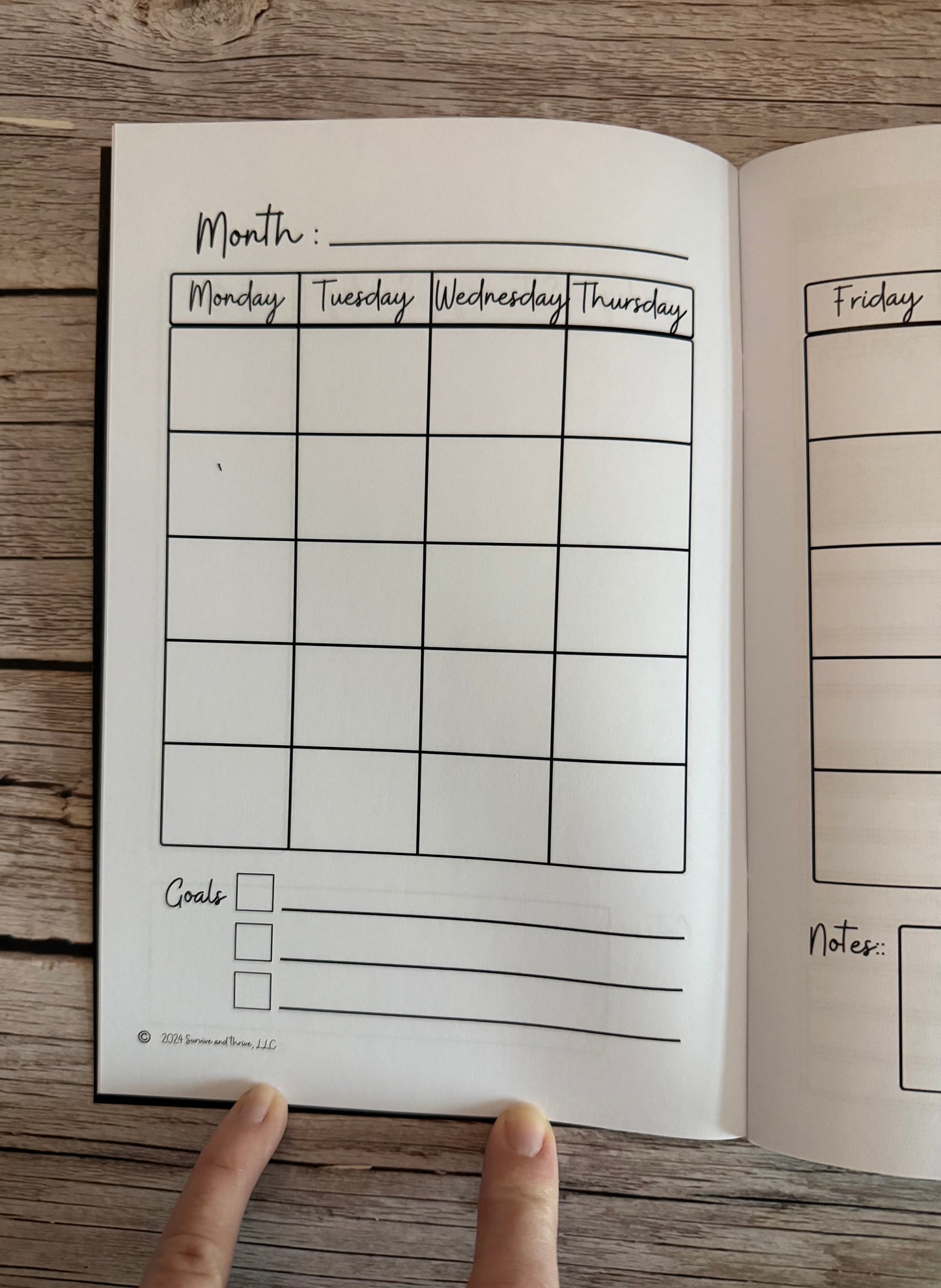 Wellness Journal - mini - 3 months, undated, black