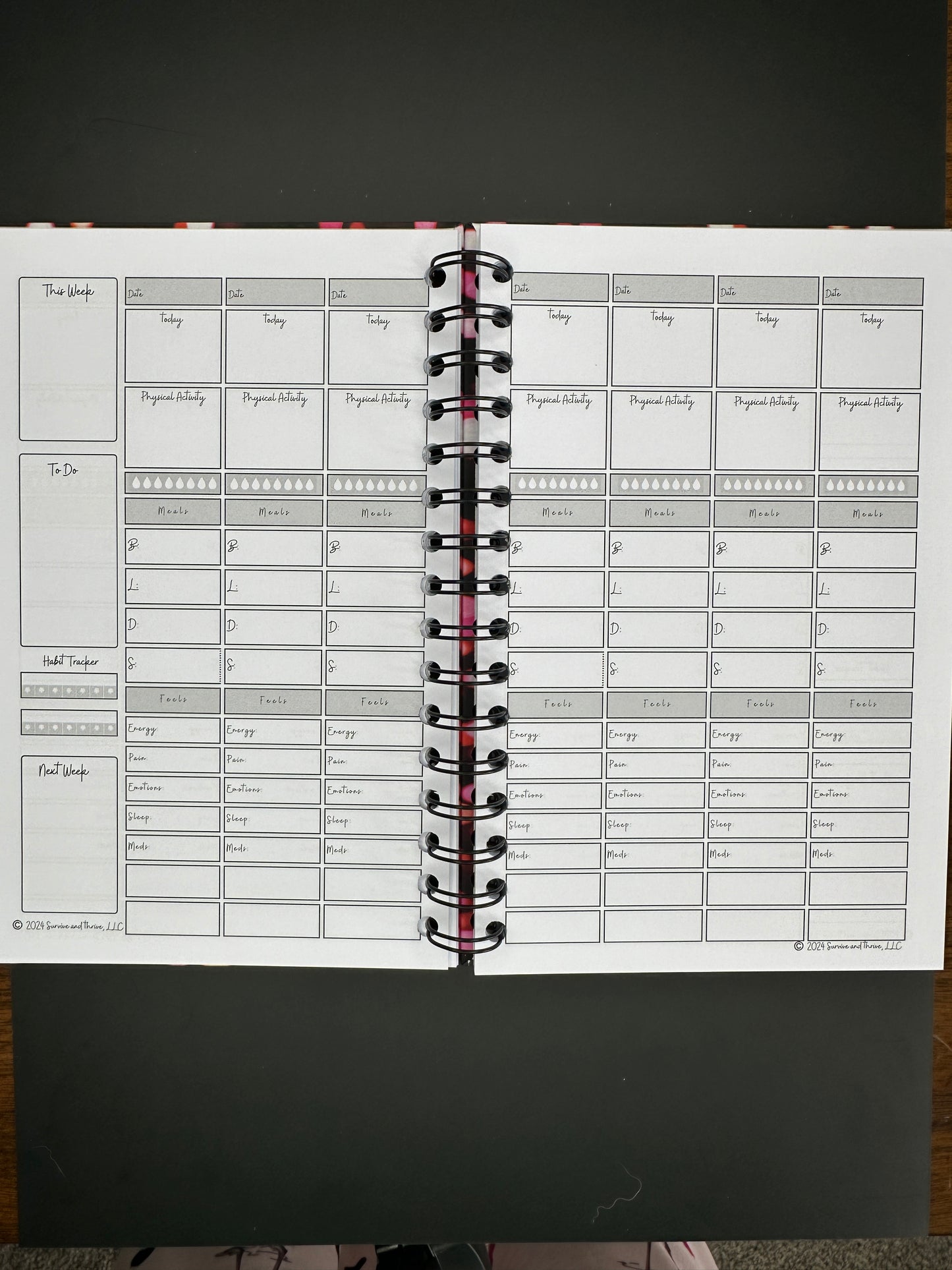 Wellness Journal - Party Lights - 12-month Undated Health Support Journal