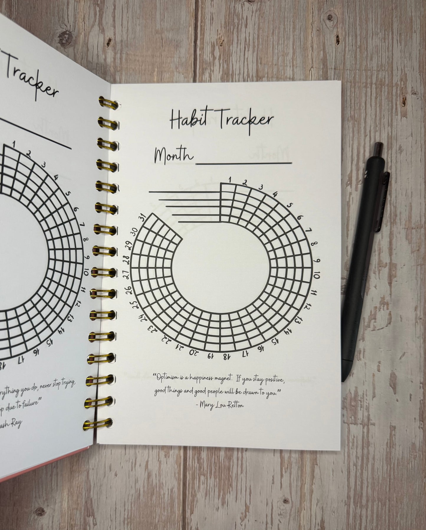 Daily Reflection Journal - Limited Edition PINK - 6-month Journey to Mindfulness