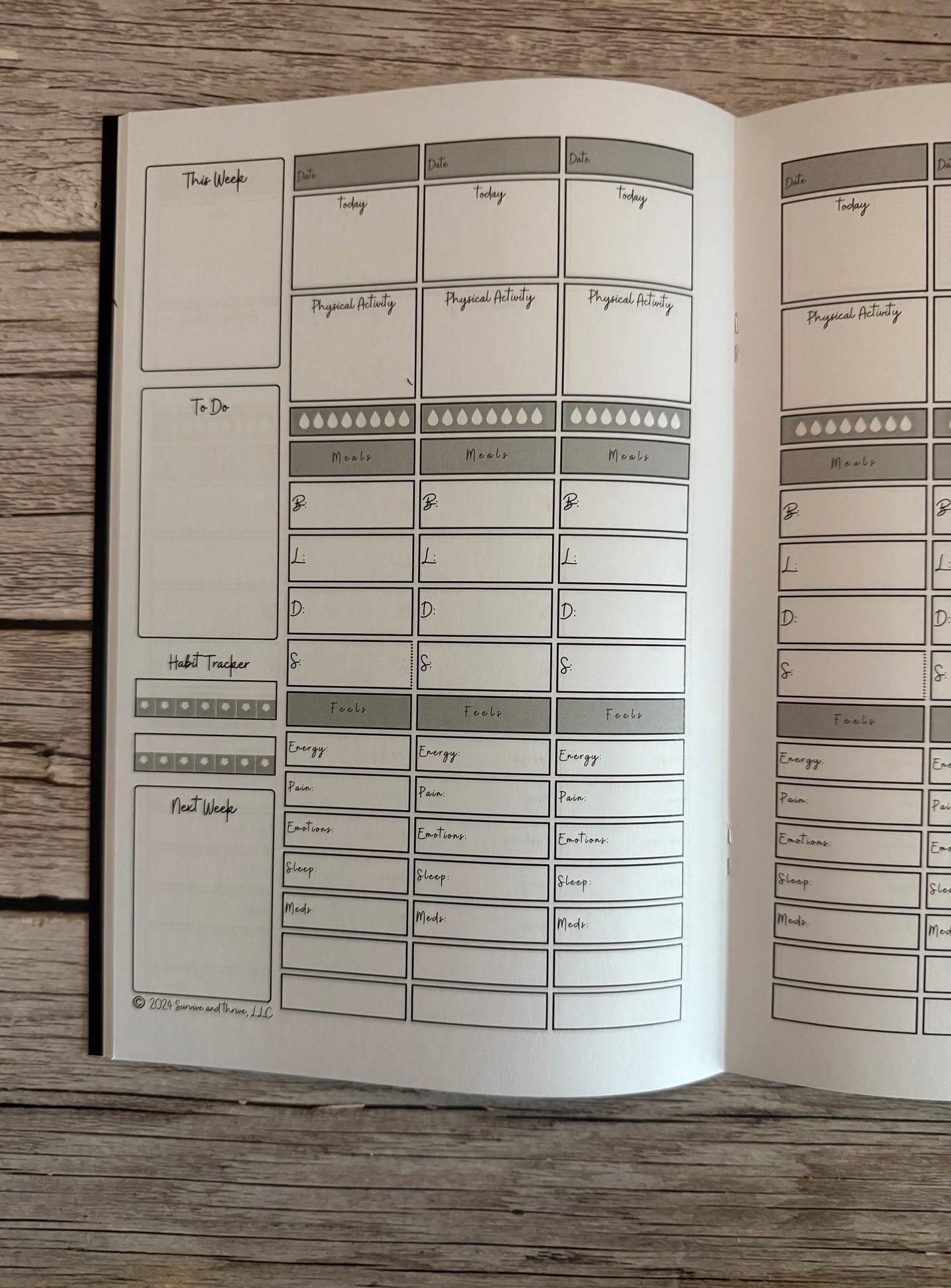 Wellness Journal - mini - 3 months, undated, black