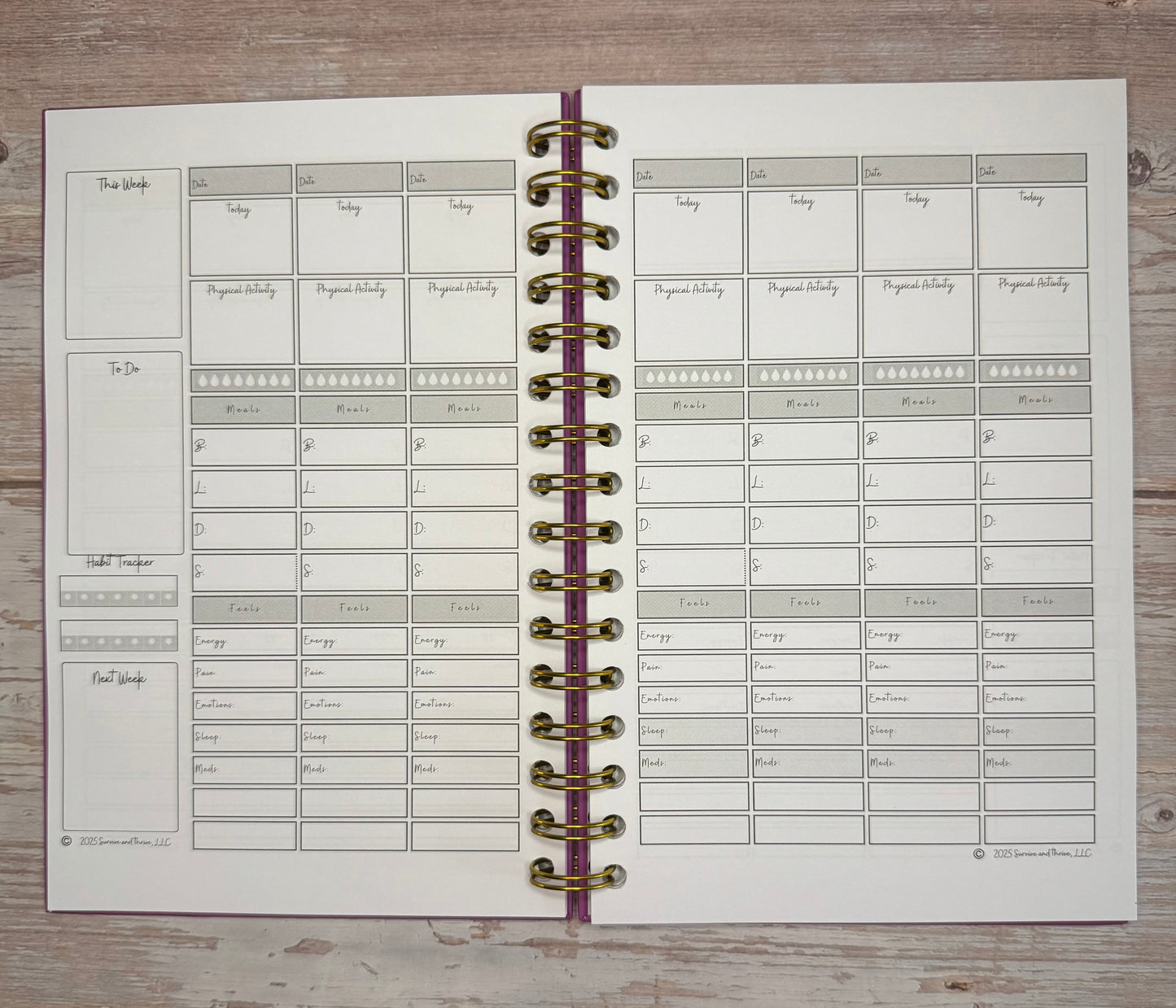Wellness Journal - Limited Edition PURPLE - 12-month Health Support Journal