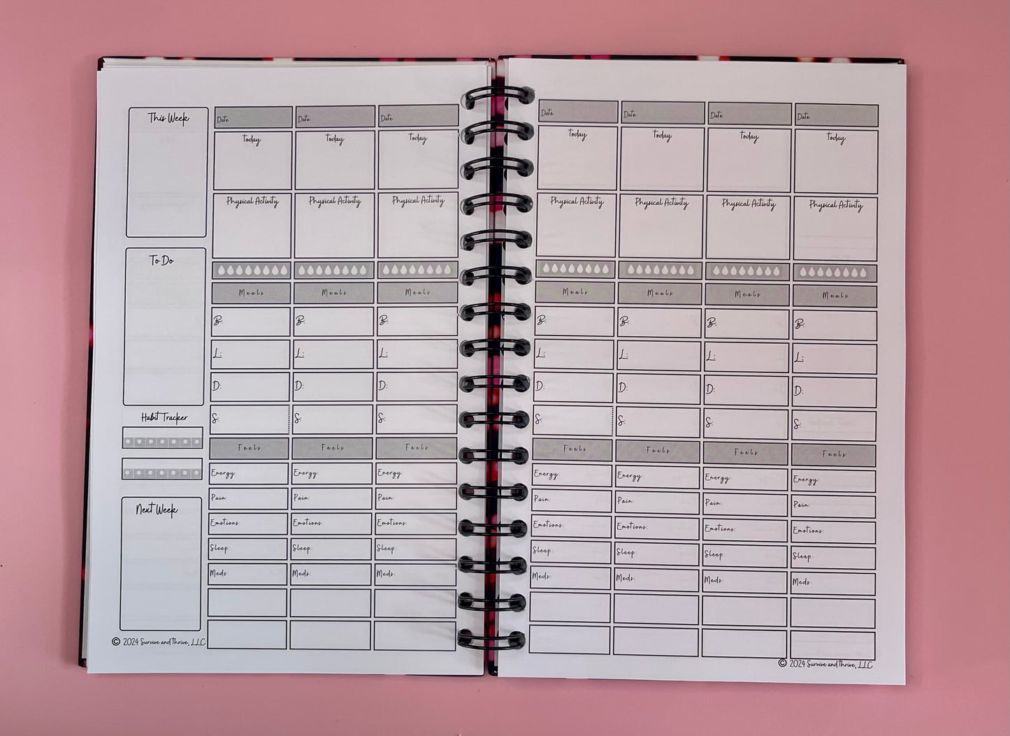 Wellness Journal - 12 months, undated