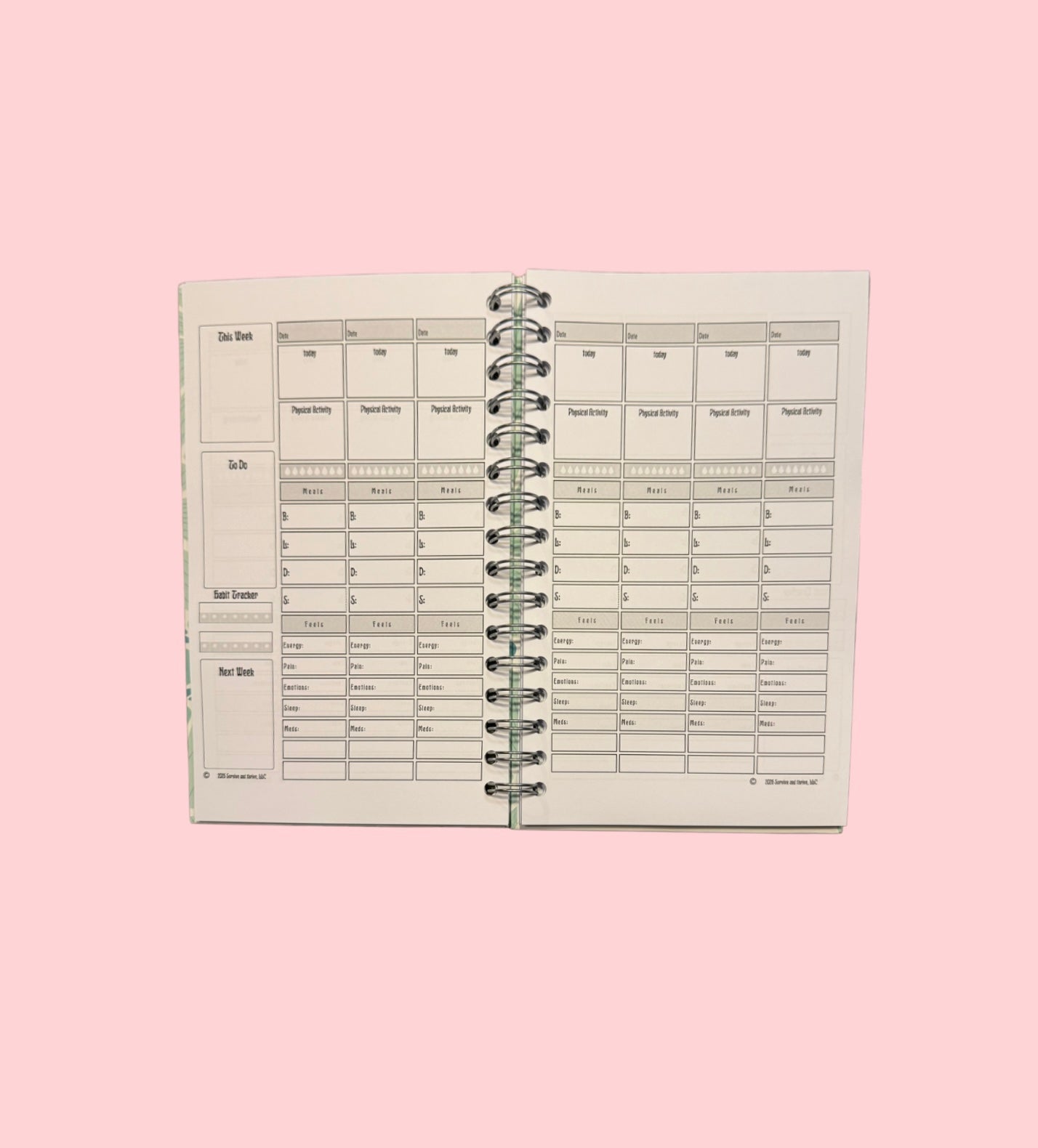 Wellness Journal - Teal Floral