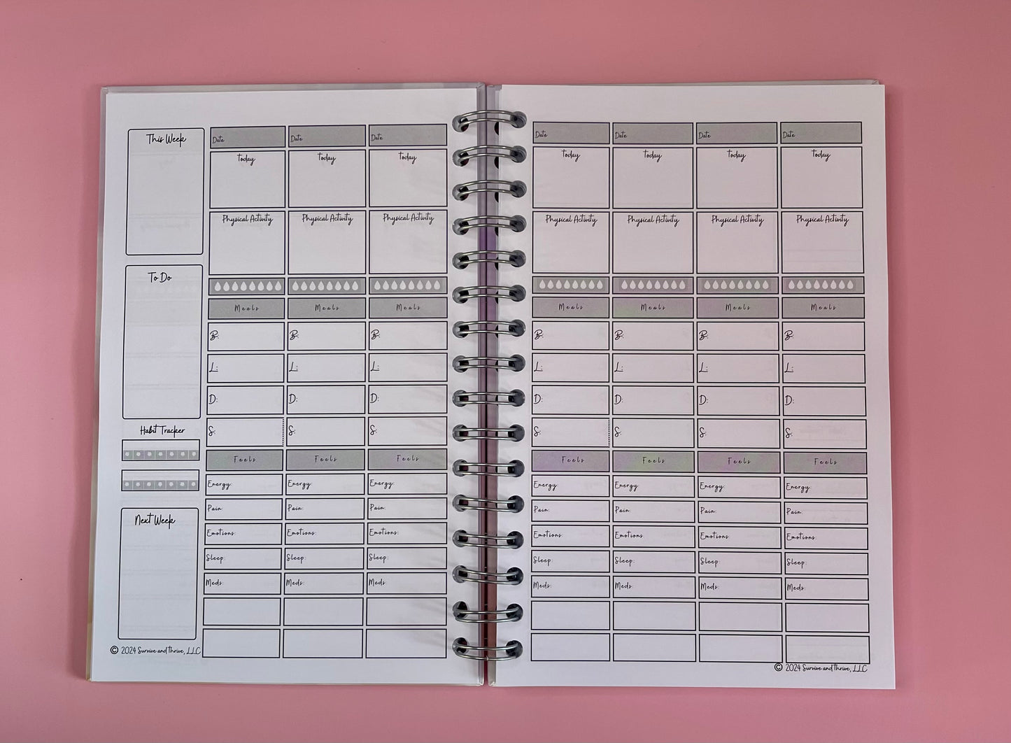 Wellness Journal - 12 months, undated