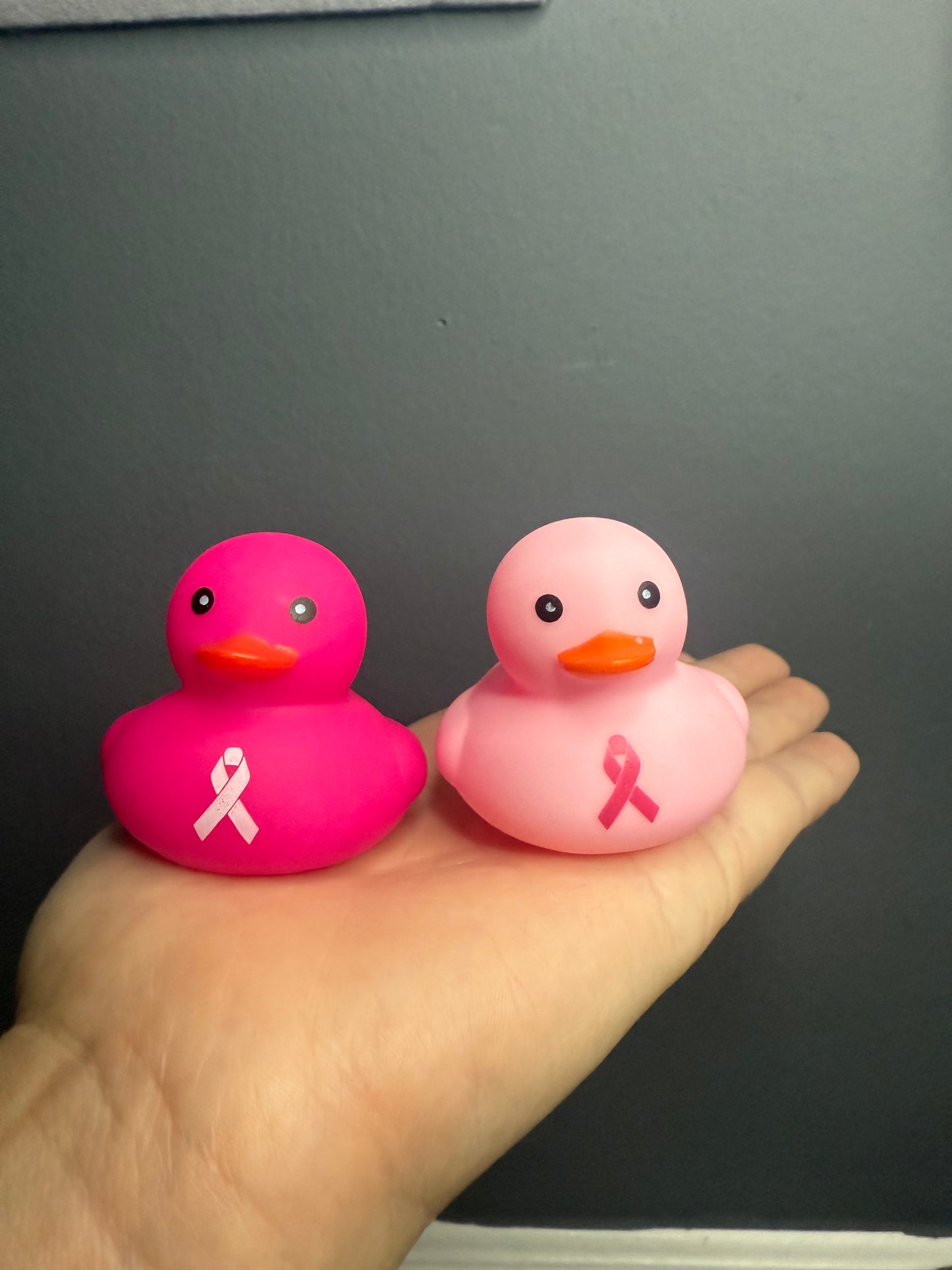 Pink Breast Cancer Ducks